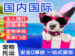 丹东机场快运国际宠物托运 【国
